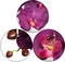 4-Pack: Lifelike Purple Orchid Stems - 33.5-Inch with 9 Realistic Silk Flowers & Green Buds - Ideal for Arrangements, Events, and Decor